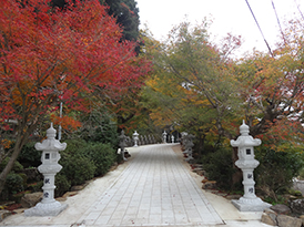 本堂へつづく石畳